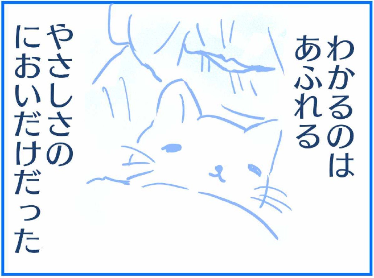まいどな漫画大賞21 大賞決定 リモートに割り込んでくる猫あるある 絵本のようなタッチで描く まいどなニュース