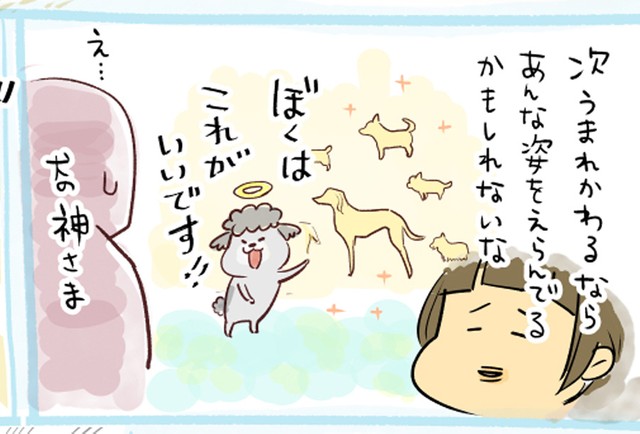 漫画 もしも亡くなった犬の夢がかなうなら 犬 生まれ変わるなら スラッとした姿がいいです 面白いのに泣けてくる まいどなニュース
