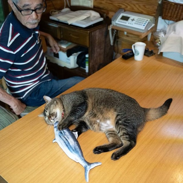 どぅるん 逃げる猫に うわぁ と父 娘が撮影した4コマ劇場に爆笑 猫じゃなく鰻 お父さんを夢中で見た まいどなニュース どぅるん 逃げる猫に うわぁ と父 娘が撮影した4コマ劇場に爆笑 猫じゃなく鰻 お父さんを夢中で見た まいどなニュース