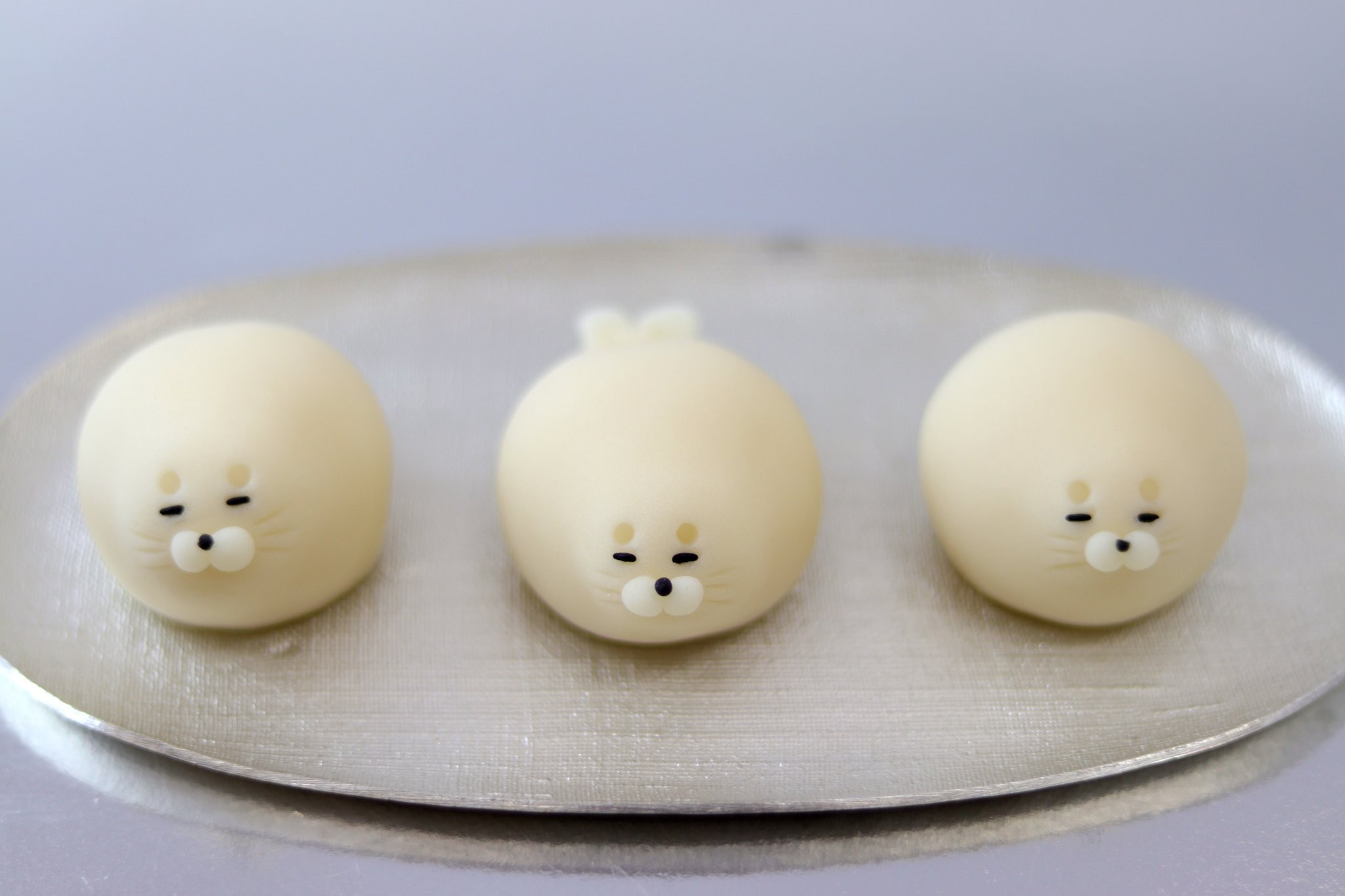 可愛いすぎて食べづらい コロンとしたあざらしとペンギンの 次世代和菓子 が話題に まいどなニュース