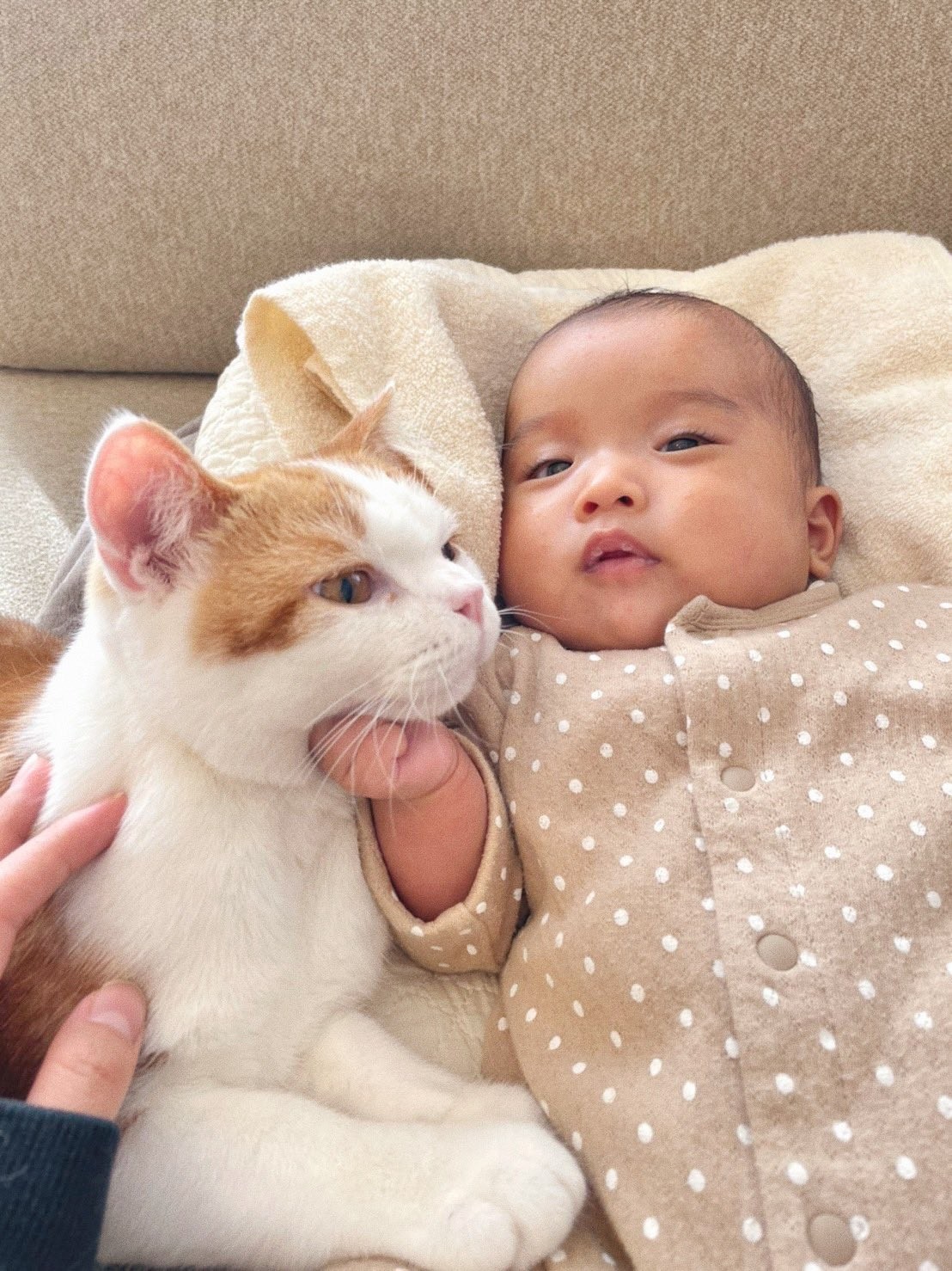 ふたりで秘密の話 子猫が寄り添いほほ笑む赤ちゃんにキュン 通じ合っているんだね なんのお話してる まいどなニュース