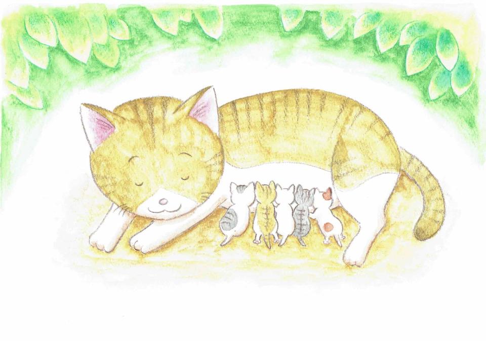 ねこの絵本」を自費出版した獣医師の願い 猫との共生へu2026心と知識を育 