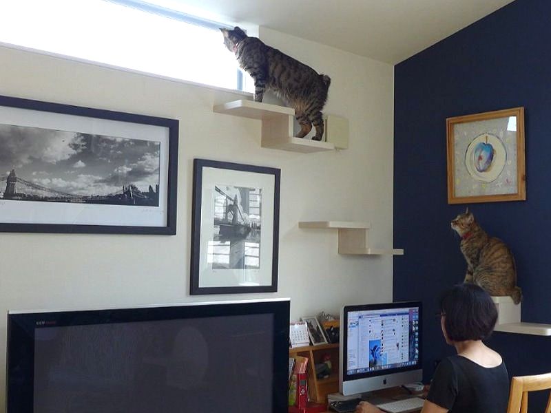 猫の居場所を作ってあげると邪魔されない