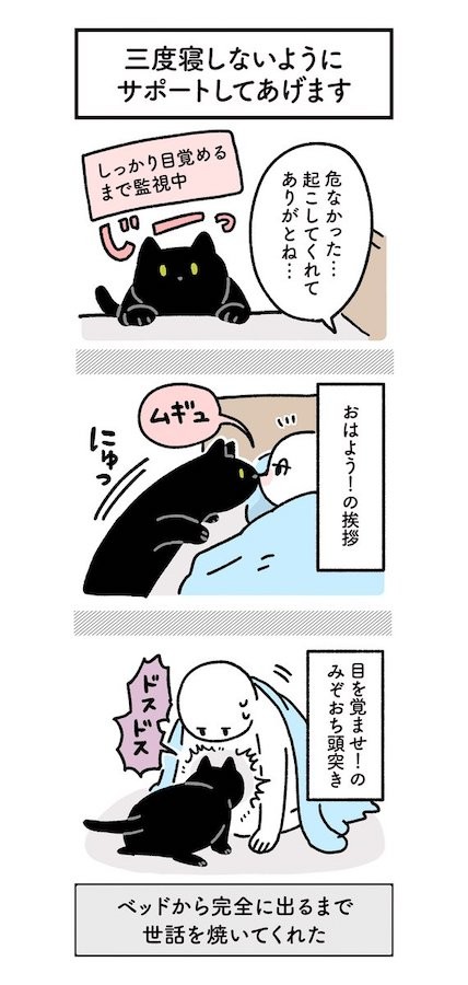 漫画 7時きっかりに起こしてくれた猫 ベッドを出るまで頭突き 彼氏超えて保護者 うちも まいどなニュース 漫画 7時きっかりに起こしてくれた猫 ベッドを出るまで頭突き 彼氏超えて保護者 うちも まいどなニュース