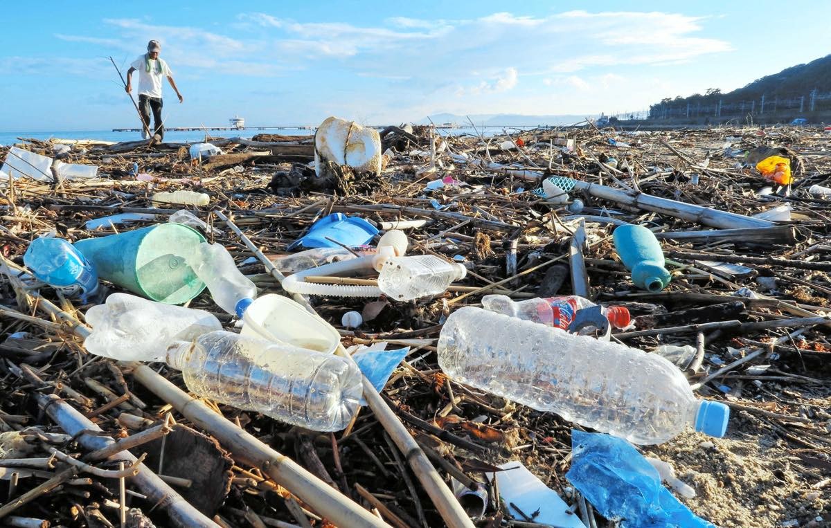 大阪湾に沈むレジ袋は300万枚 喫緊の プラごみ問題 レジ袋有料化1カ月にあわせ専門家に聞いた まいどなニュース