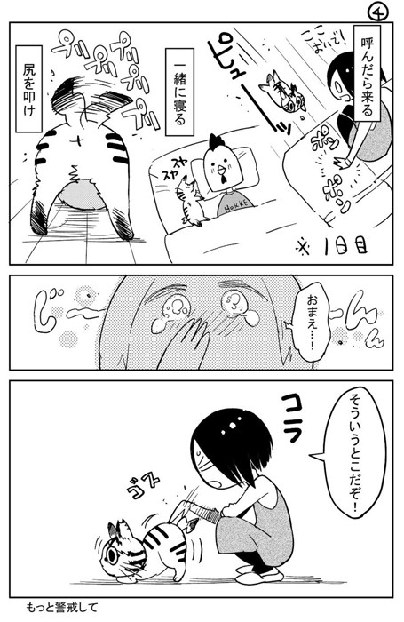 尻を叩け と要求する猫さん ポーズも表情も満点 おもしろ可愛い 写真で笑って 漫画で泣いた まいどなニュース