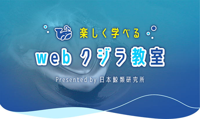 楽しく学べるwebクジラ教室 おしごとはくぶつかん