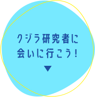 クジラ研究者に会いに行こう！