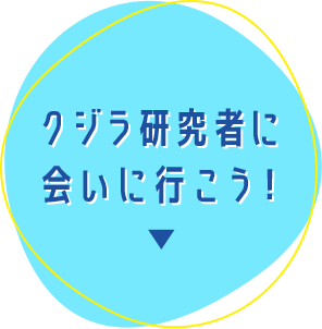 クジラ研究者に会いに行こう！