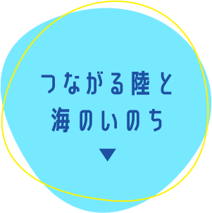 つながる陸と海のいのち