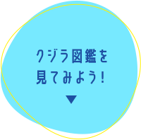 クジラ図鑑を見てみよう！