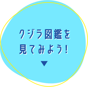 クジラ図鑑を見てみよう！