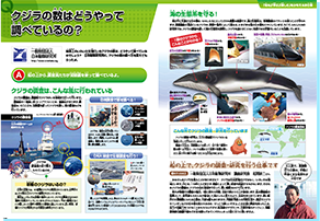 2018年度　おしごと年鑑