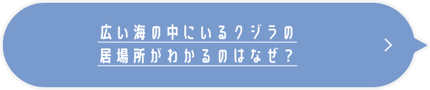 広い海の中にいるクジラの 居場所がわかるのはなぜ？