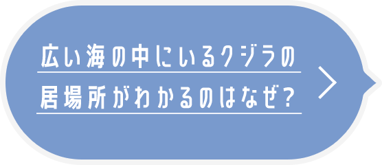 広い海の中にいるクジラの 居場所がわかるのはなぜ？