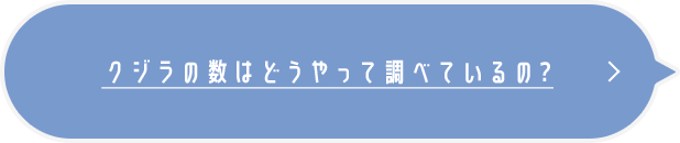 クジラの数はどうやって調べているの？