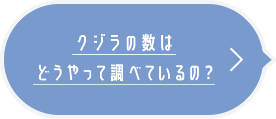 クジラの数はどうやって調べているの？