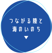 つながる陸と海のいのち