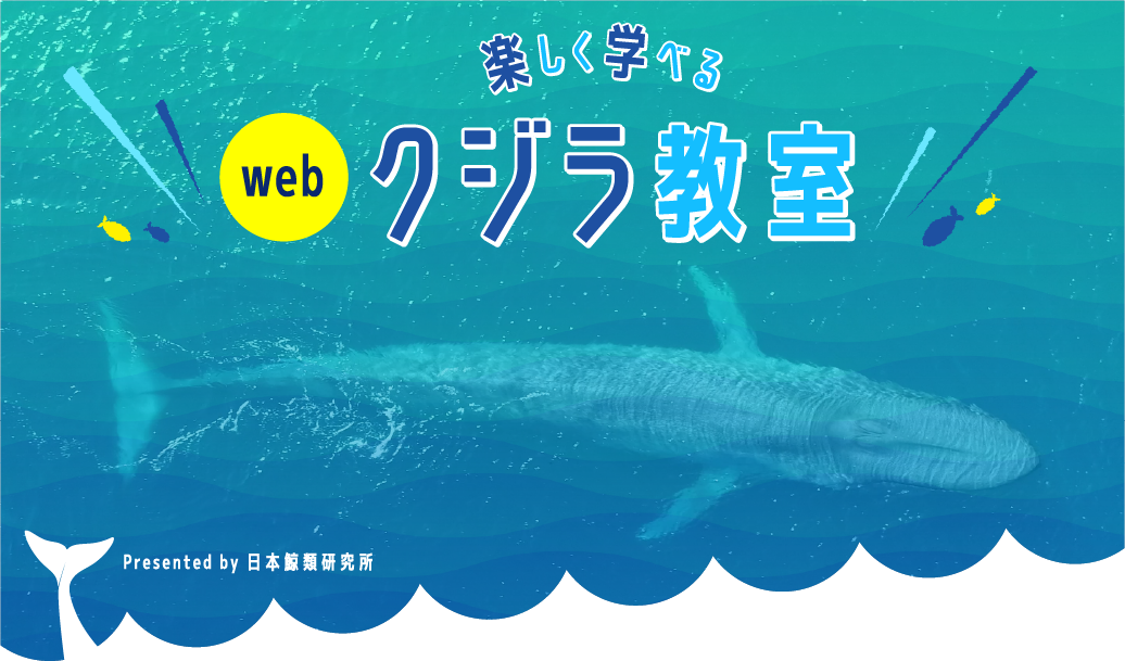 webクジラ教室