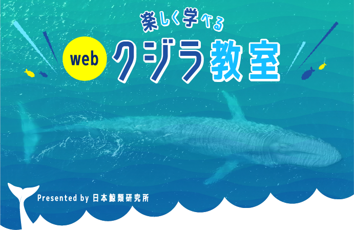 webクジラ教室