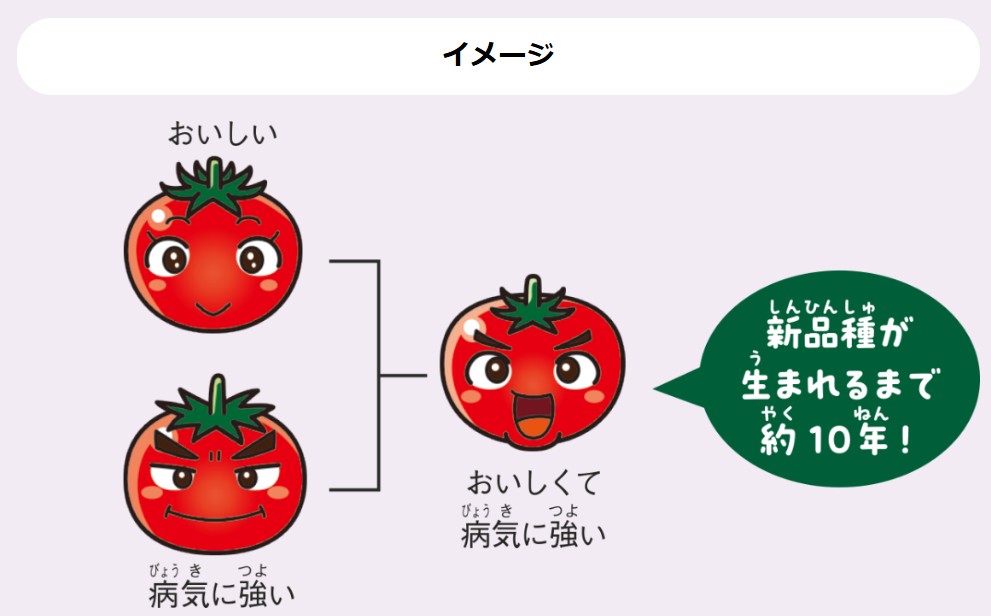 新品種が生まれるまでの図解